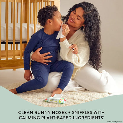 The Honest Company Sniffer Soothers Nose and Face Wipes